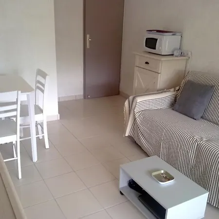Climatise Avec Piscine Et Parking Au Grau Du Roi - Fr-1-731-98 Daire